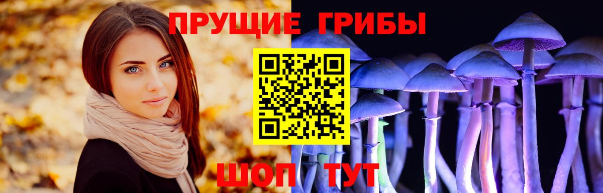 Псилоцибиновые грибы прущие грибы  Вход с VPN  Полевской 